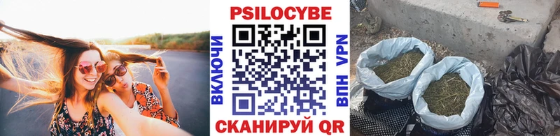 Псилоцибиновые грибы GOLDEN TEACHER  наркота  Белоусово 